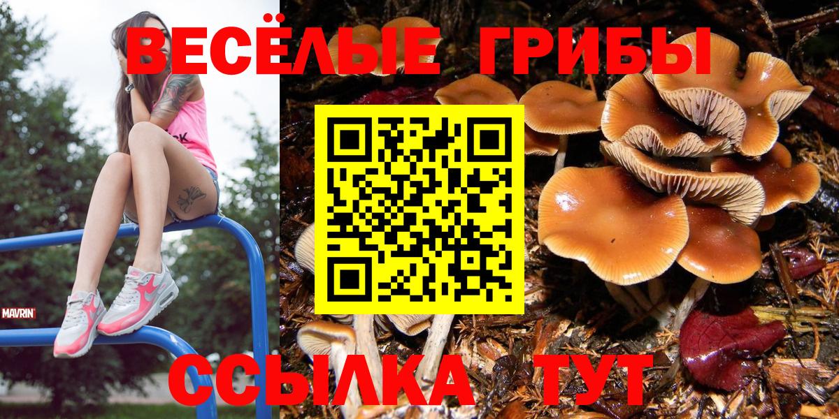 Солнечногорск  Псилоцибиновые грибы ЛСД  Вход с VPN 