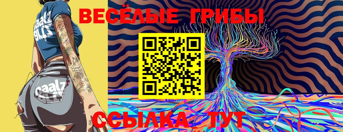Псилоцибиновые грибы MAGIC MUSHROOMS Солнечногорск